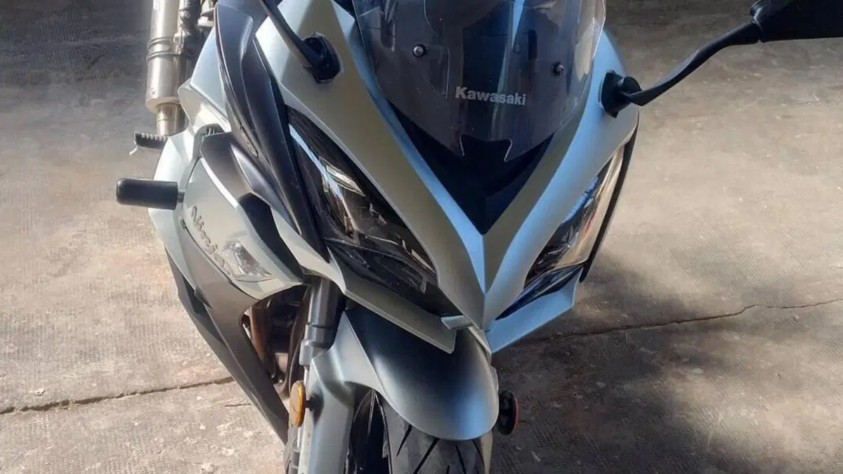 Kawasaki Z 1000 SX (2017 - 20)  (5)