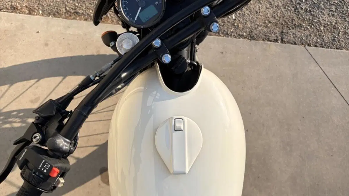 Honda NX 650 Dominator (1988 - 90)  (2)