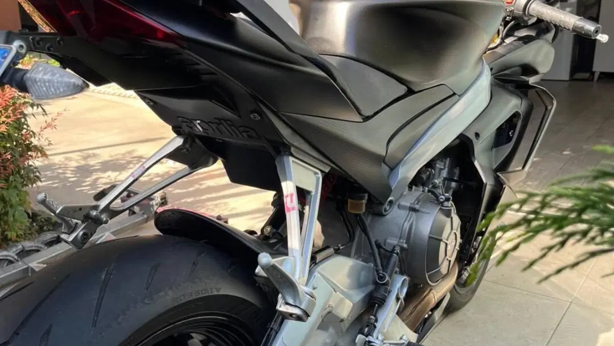 Aprilia RS 660 (2020 - 24)  (5)