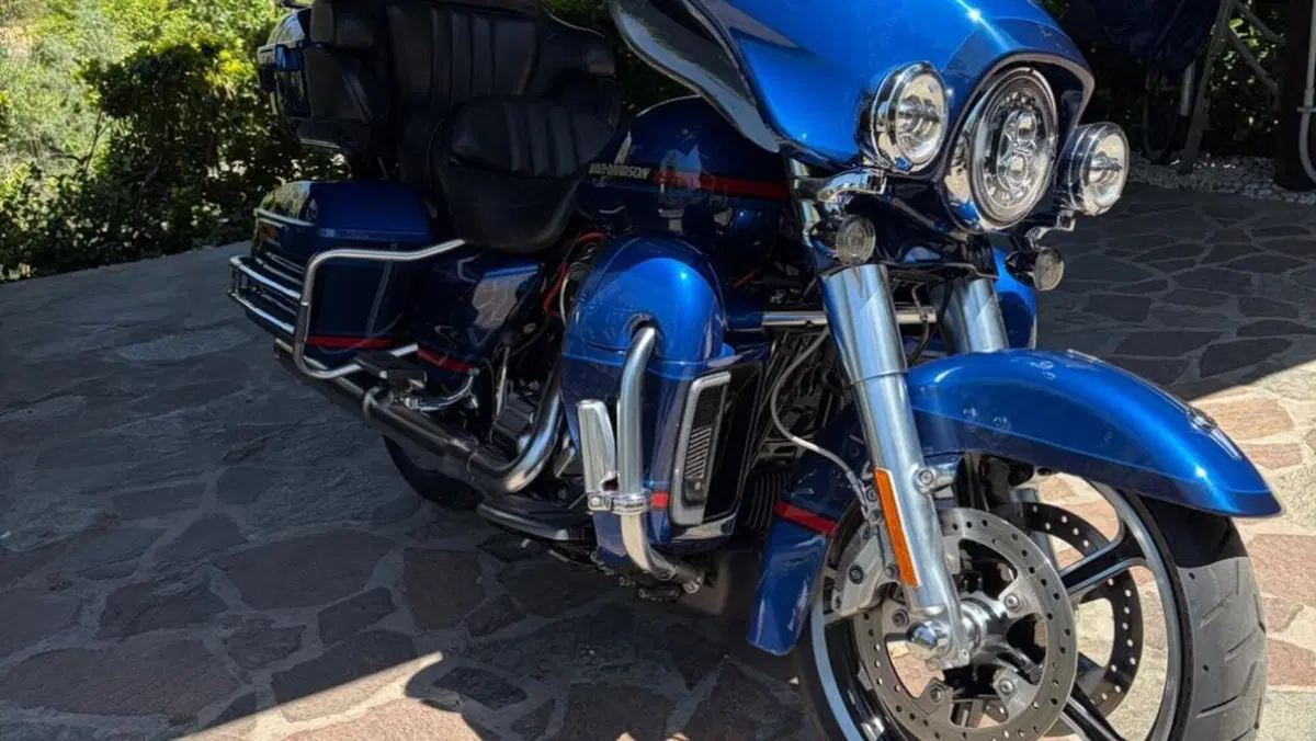 Harley-Davidson 117 Limited (2018 - 20) - FLHTKSE  (12)