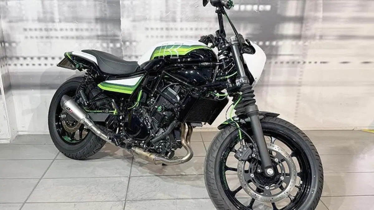 Kawasaki Eliminator 500 (2024 - 26) 