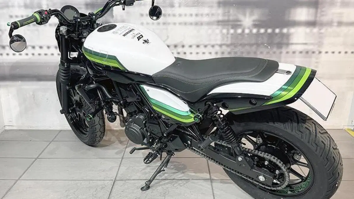 Kawasaki Eliminator 500 (2024 - 26)  (2)