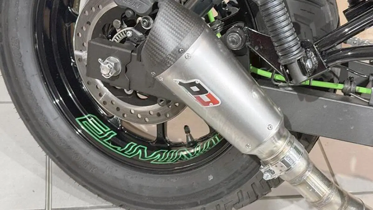 Kawasaki Eliminator 500 (2024 - 26)  (3)