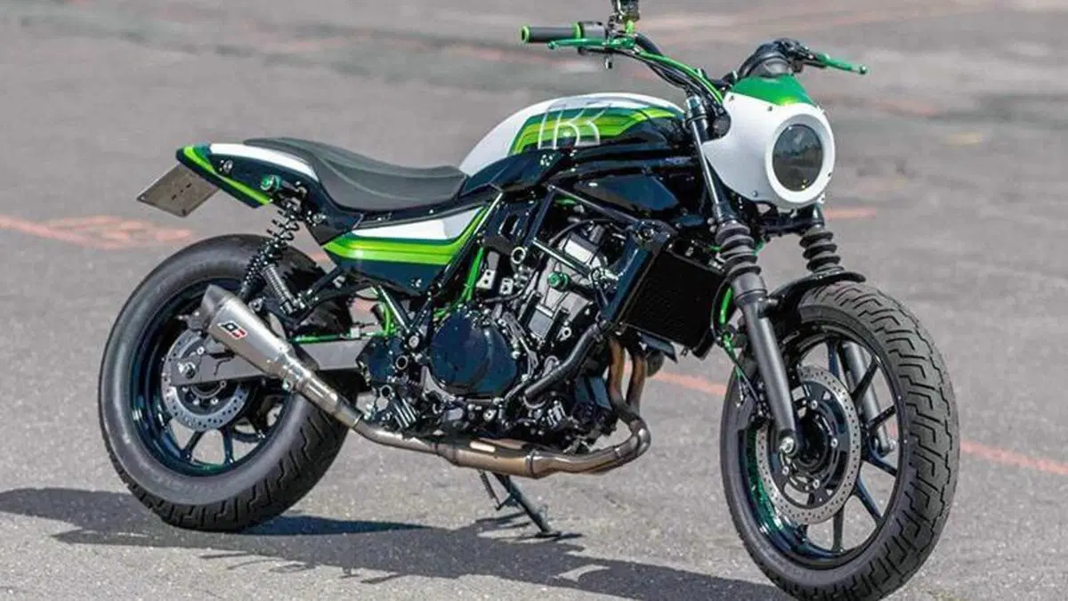 Kawasaki Eliminator 500 (2024 - 26)  (4)