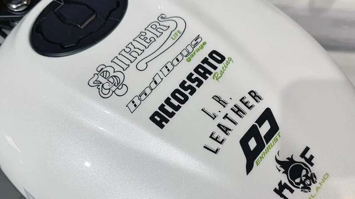 Kawasaki Eliminator 500 (2024 - 26)  (6)