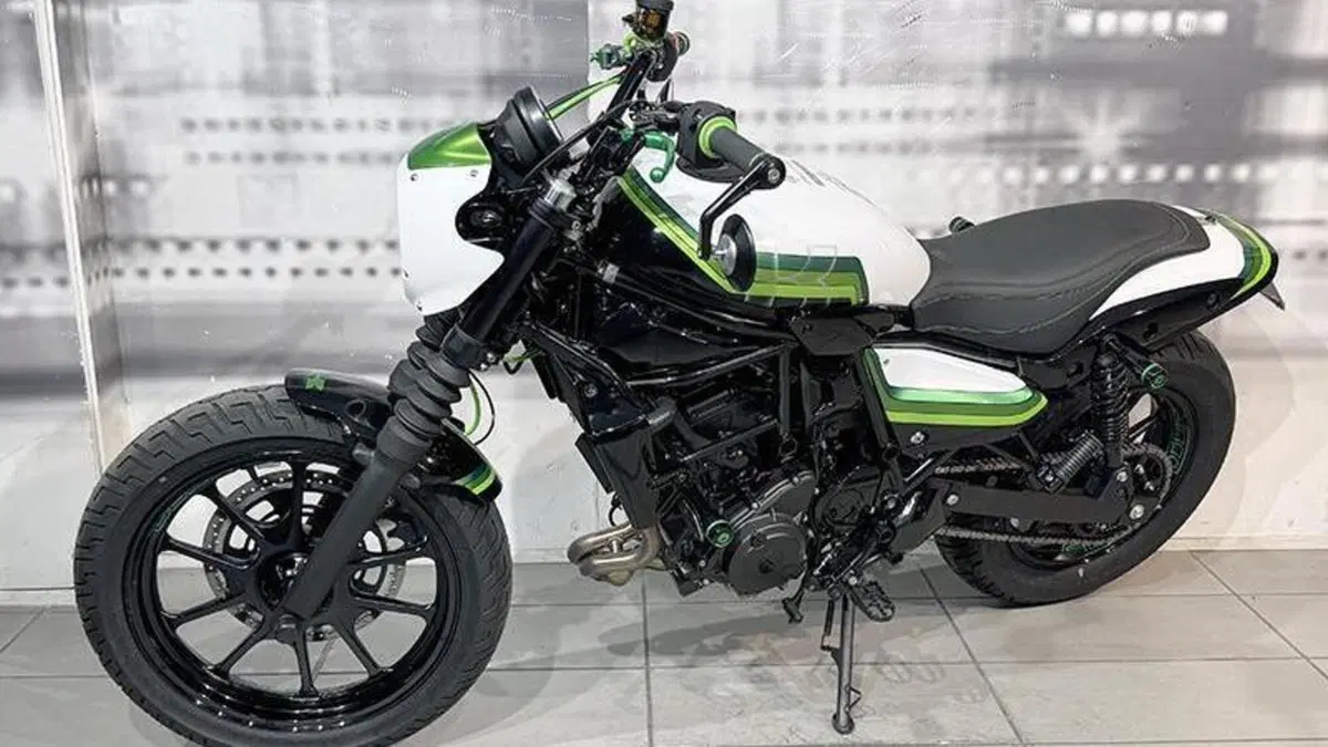 Kawasaki Eliminator 500 (2024 - 26)  (7)