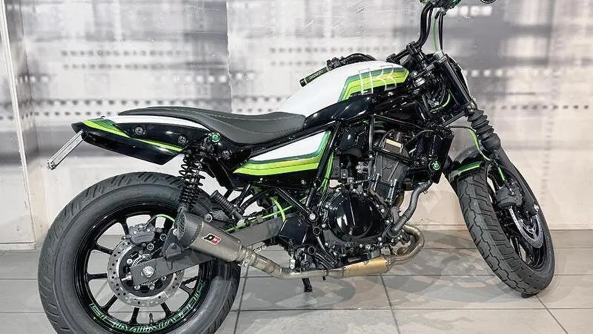 Kawasaki Eliminator 500 (2024 - 26)  (8)
