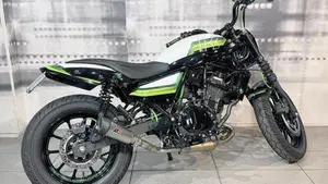 Kawasaki Eliminator 500 (2024 - 26)  (8)