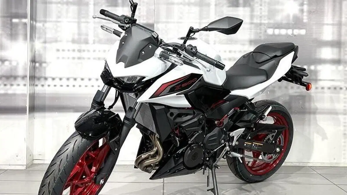 Kawasaki Z 500 SE (2024 - 26)  (7)
