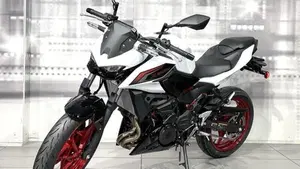 Kawasaki Z 500 SE (2024 - 26)  (7)