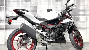 Kawasaki Z 500 SE (2024 - 26)  (8)