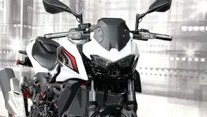 Kawasaki Z 500 SE (2024 - 26)  (9)
