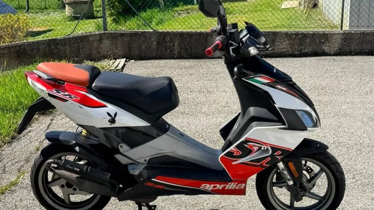 Aprilia RS 50 (2006 - 13)  (4)