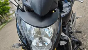 Honda Hornet 600 (2007 - 10)  (10)