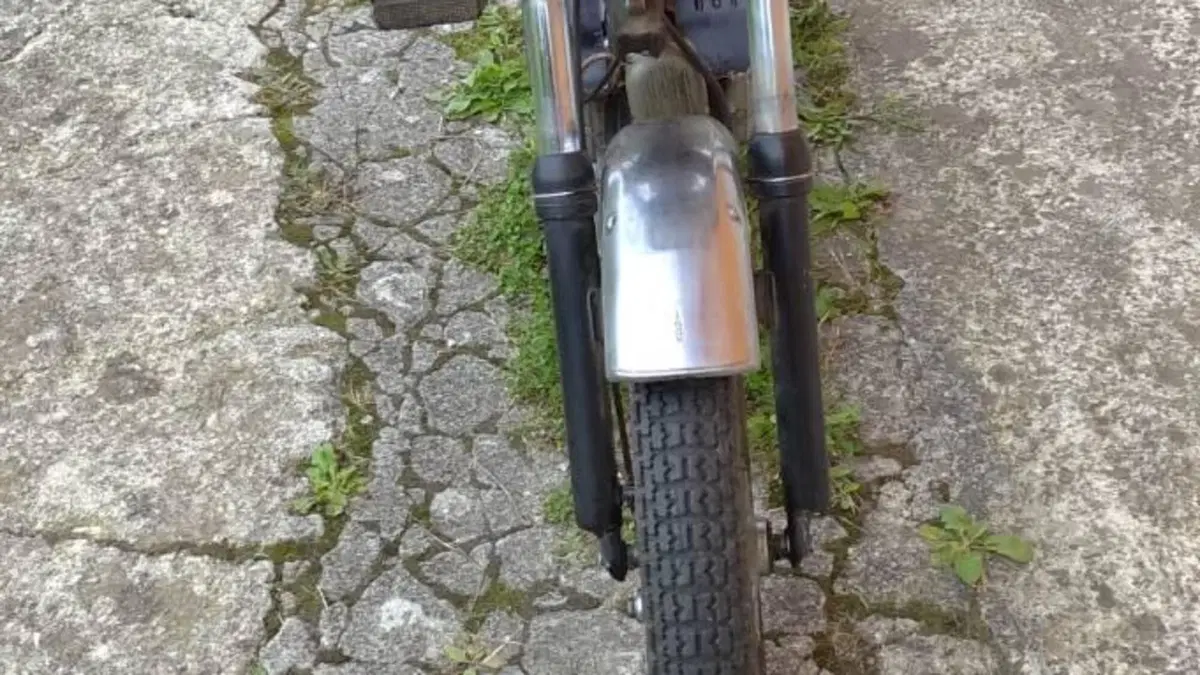 Malanca   (5)