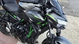Kawasaki Z 650 (2021 - 24)  (12)