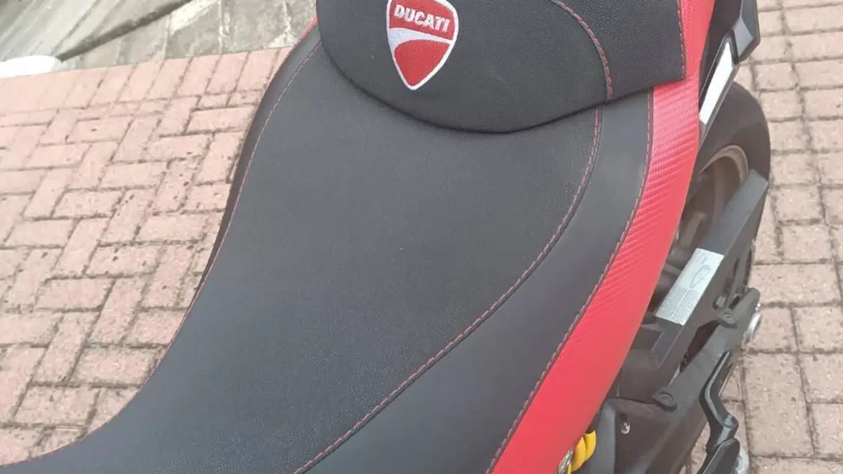 Ducati Multistrada 950 (2018)  (4)