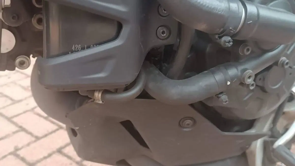 Ducati Multistrada 950 (2018)  (9)