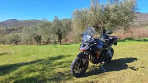 Triumph Tiger 900 GT Pro (2024 - 26) 