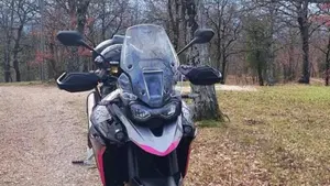 Triumph Tiger 900 GT Pro (2024 - 26)  (2)