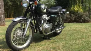 Kawasaki W 800 (2010 - 17)  (2)