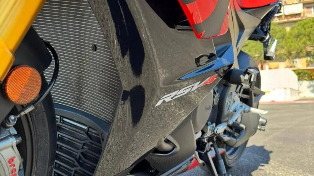 Aprilia RSV4 1100 Factory (2021 - 24)  (6)