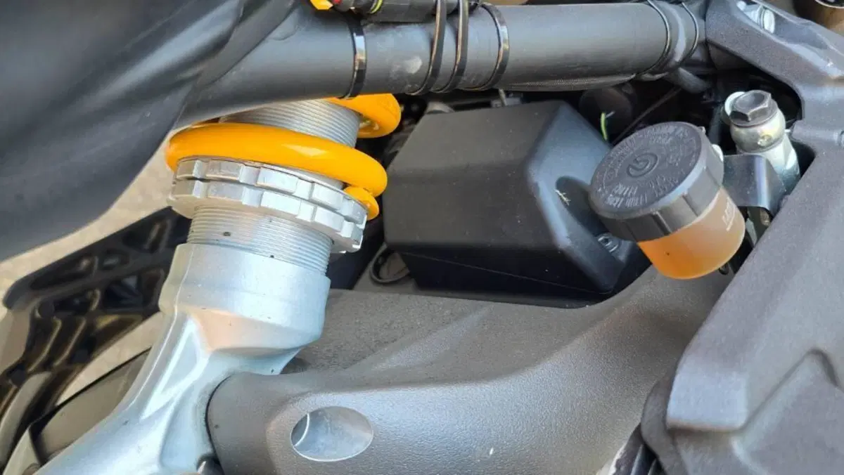 Ducati Monster 1200 S (2014 - 16)  (4)