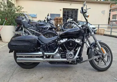 Harley-Davidson Softail Standard (2021 - 25) - Annuncio 10026021