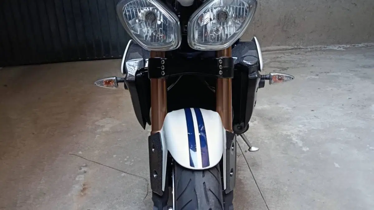 Triumph Speed Triple 1050 ABS (2011 - 15) 