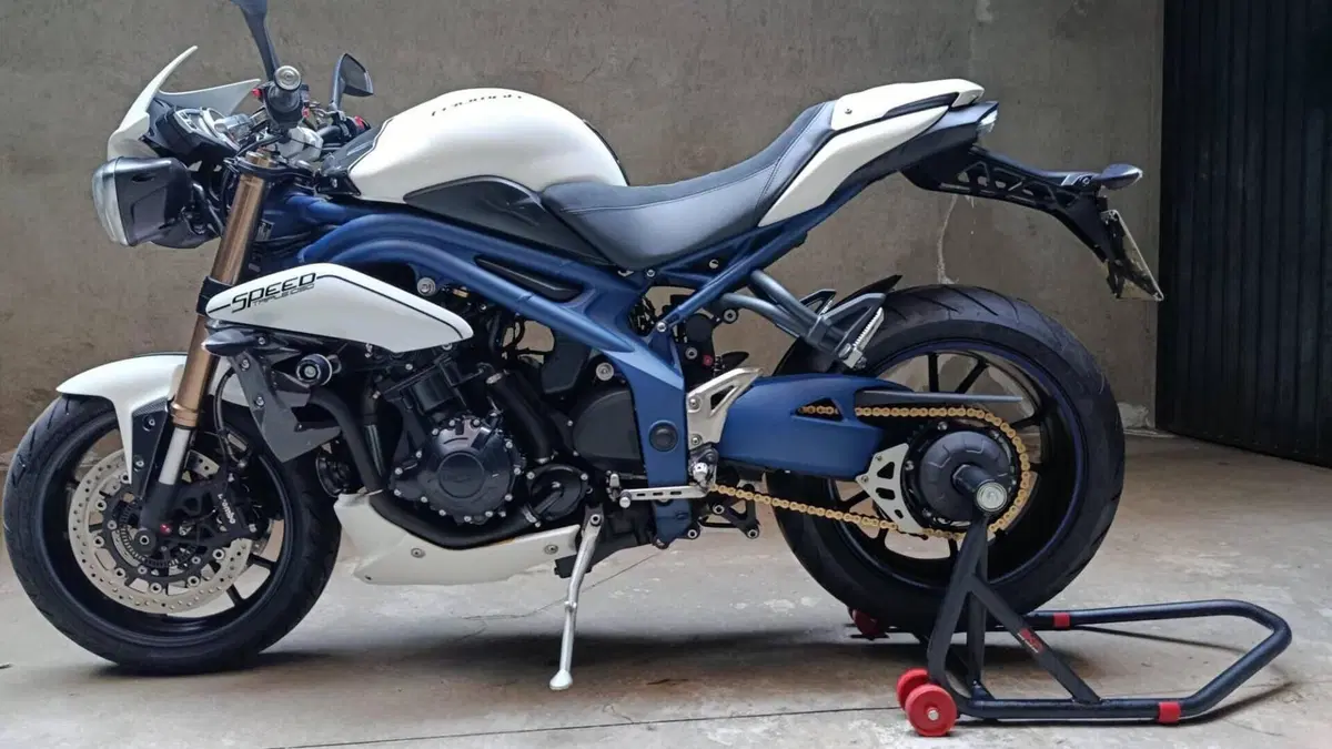 Triumph Speed Triple 1050 ABS (2011 - 15)  (3)