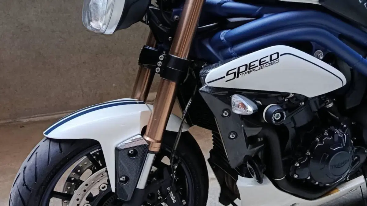 Triumph Speed Triple 1050 ABS (2011 - 15)  (5)