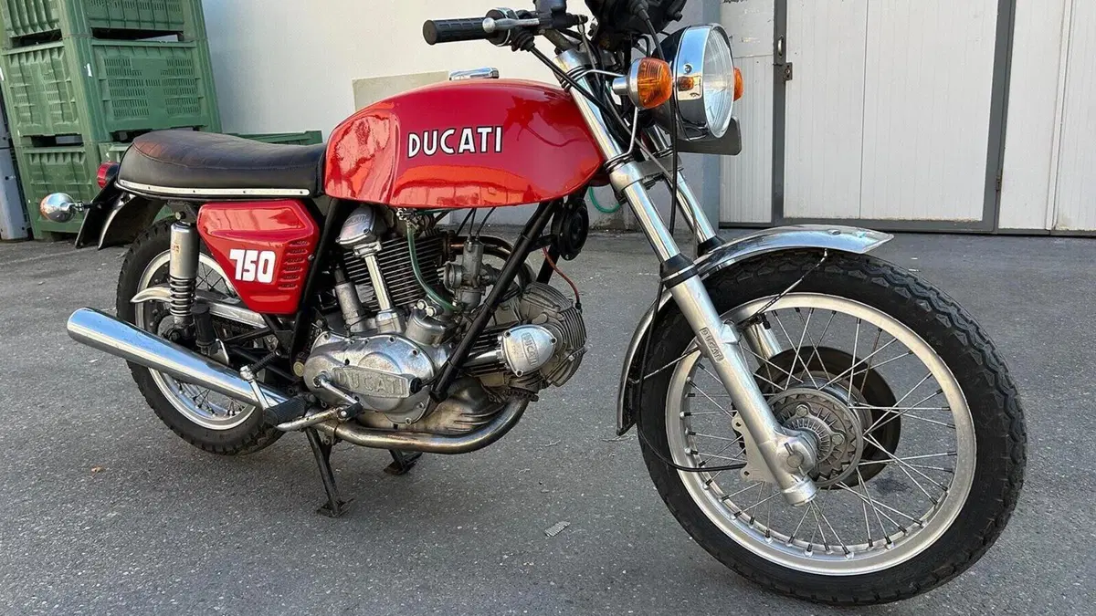 Ducati   (5)