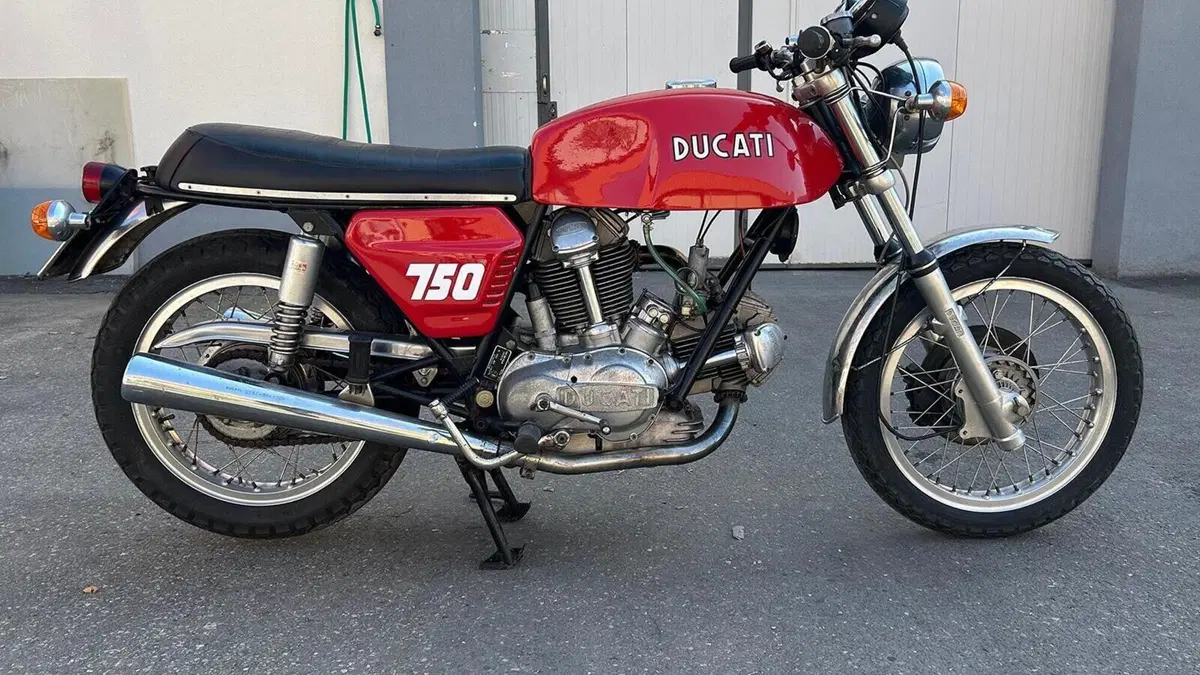 Ducati   (6)