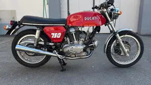 Ducati   (6)