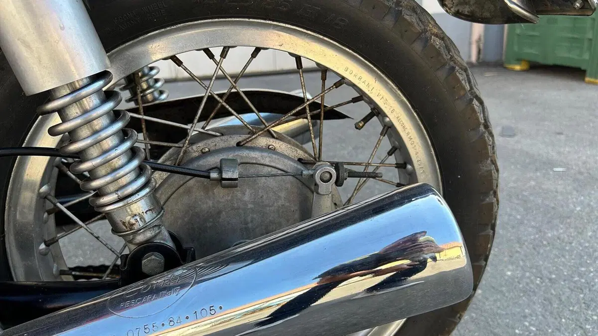Ducati   (8)