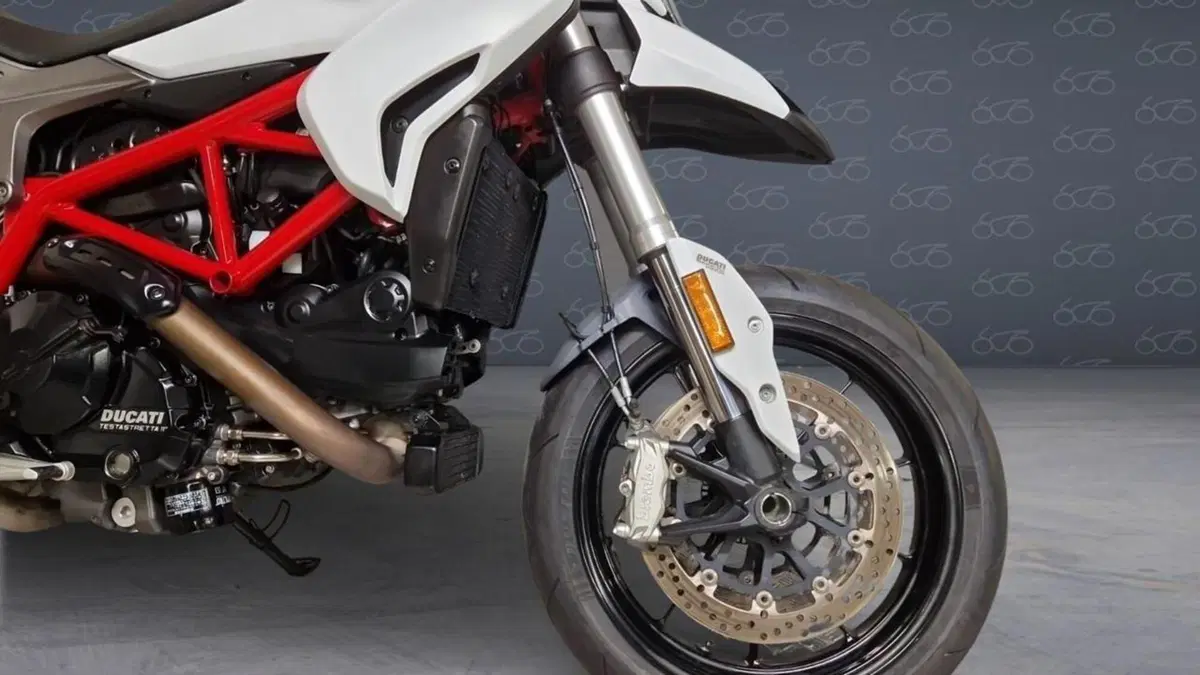 Ducati Hypermotard 939 (2016 - 18)  (5)