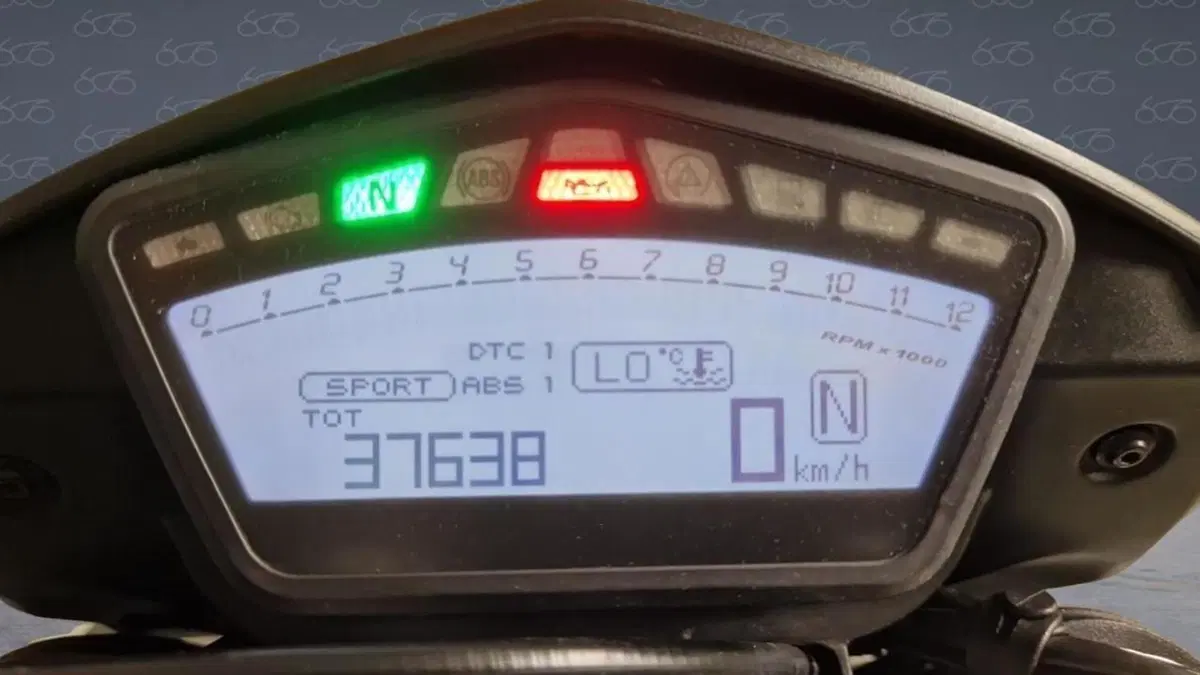 Ducati Hypermotard 939 (2016 - 18)  (7)