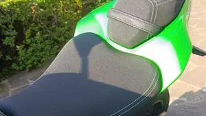 Kawasaki Z 900 A2 (2019)  (4)
