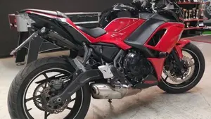 Kawasaki Ninja 650 40th Anniversary Edition (2024)  (3)