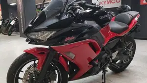 Kawasaki Ninja 650 40th Anniversary Edition (2024)  (7)
