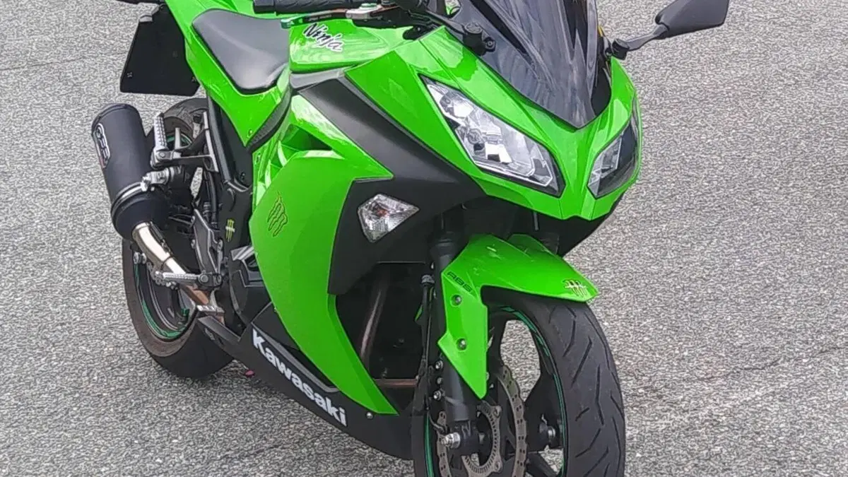Kawasaki Ninja 300 ABS (2012 - 16)  (4)
