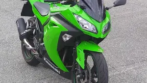 Kawasaki Ninja 300 ABS (2012 - 16)  (4)