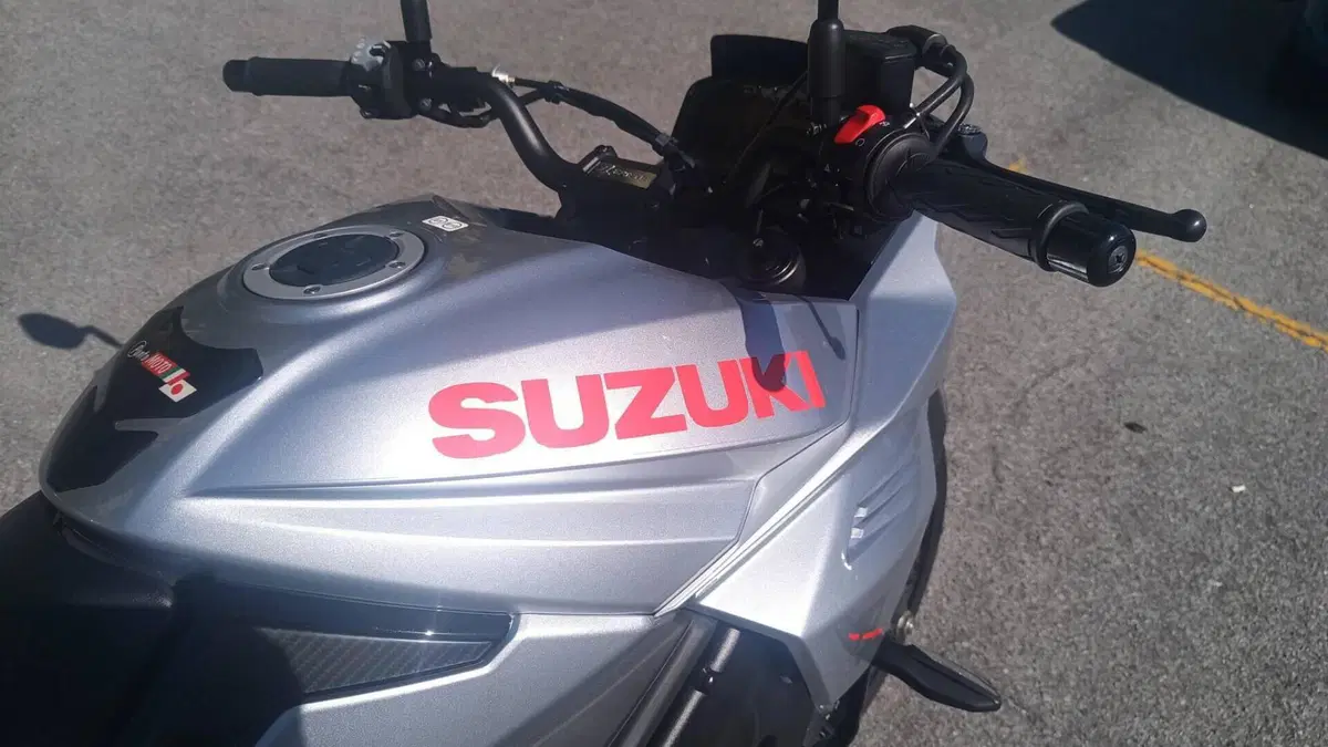 Suzuki Katana 1000 (2019 - 20)  (3)