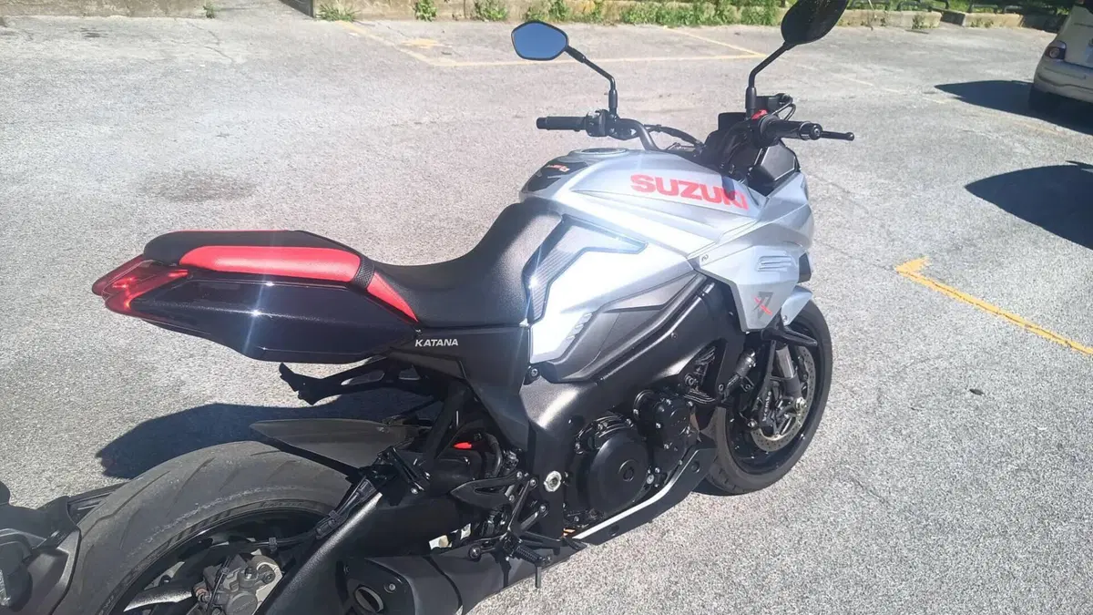 Suzuki Katana 1000 (2019 - 20)  (6)
