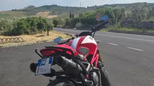 Ducati Monster 796 (2010 - 13)  (2)