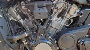 Harley-Davidson Pan America 1250 Special (2020 - 25)  (9)