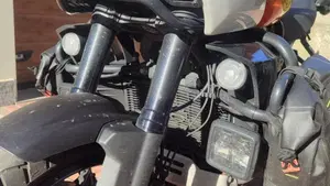 Harley-Davidson Pan America 1250 Special (2020 - 25)  (11)