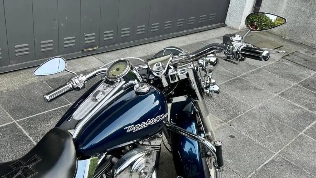 Harley-Davidson Road King CVO 1550 (FLHRSEI) (2002 - 05)  (8)