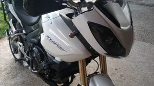Triumph Tiger 1050 ABS (2006 - 12)  (5)