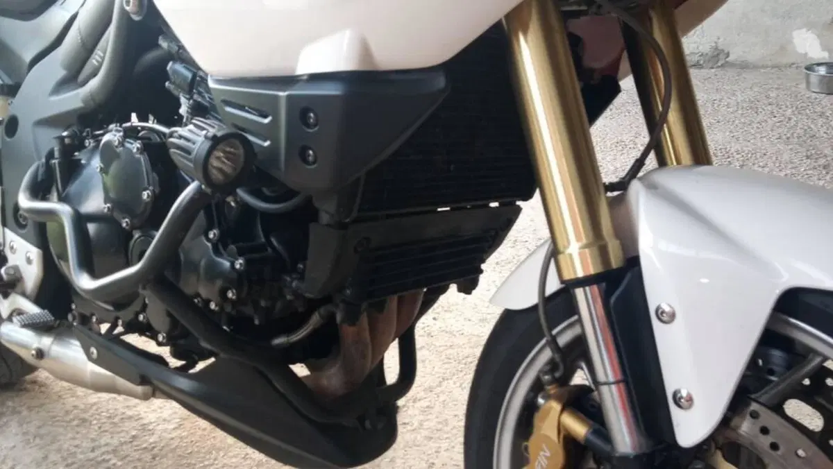 Triumph Tiger 1050 ABS (2006 - 12)  (6)